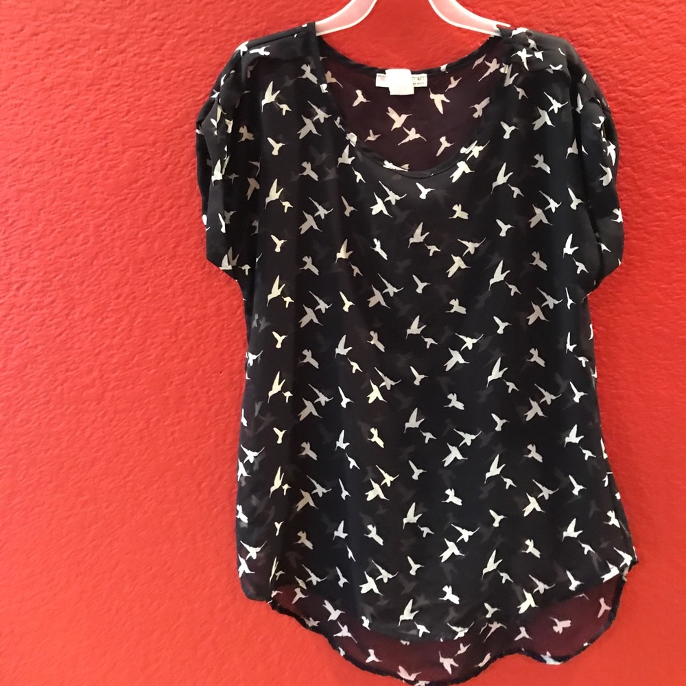 Navy High-Low Sheer Blouse