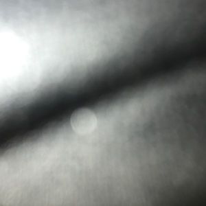 Meet your Posher, Jaden