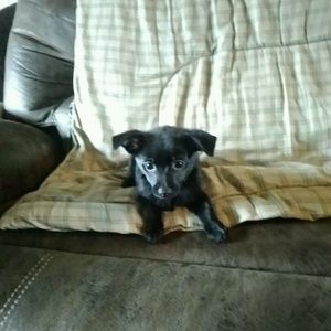 Meet your Posher, Deanna