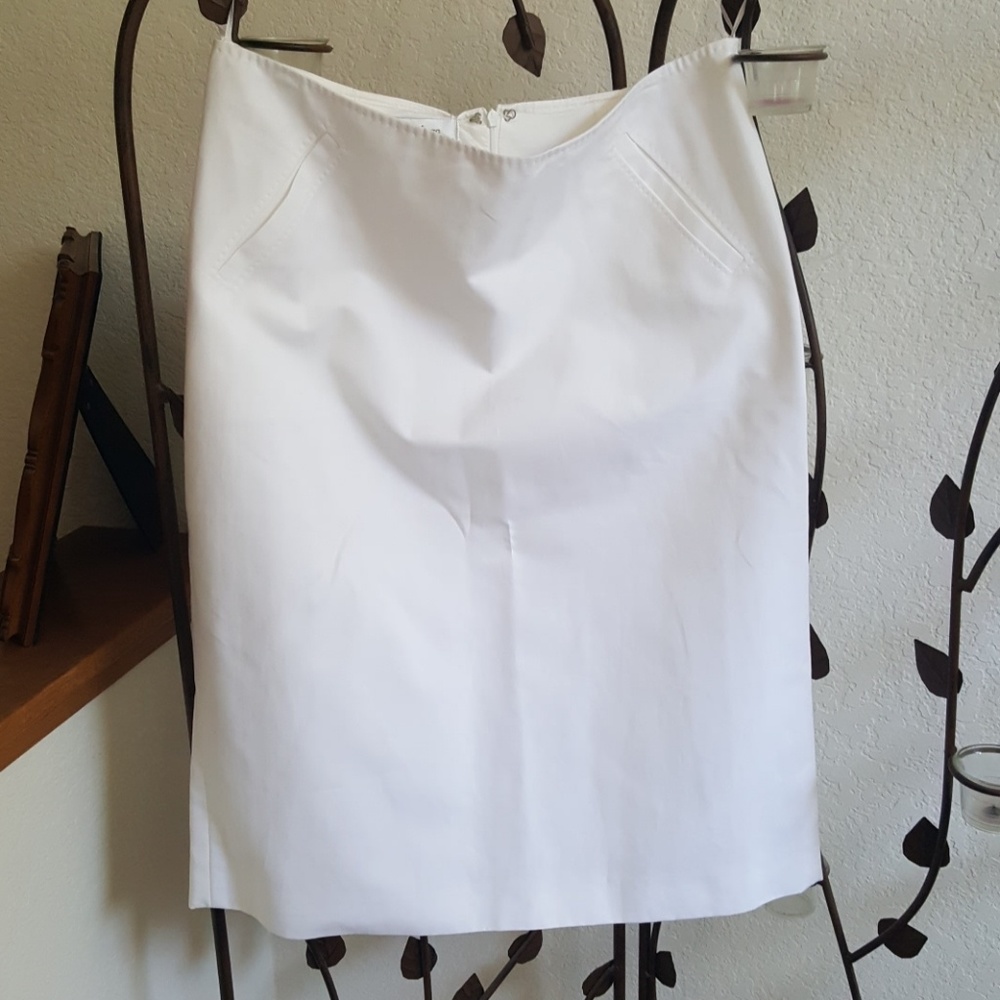 Max Mara Skirt