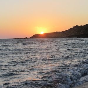 Meet your Posher, Sophia