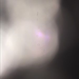 Meet your Posher, Ivan