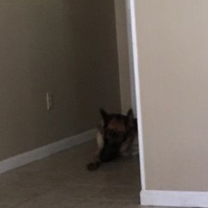 Meet your Posher, Charles