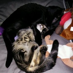 Meet your Posher, Keri