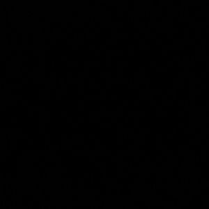 Meet your Posher, Shadi