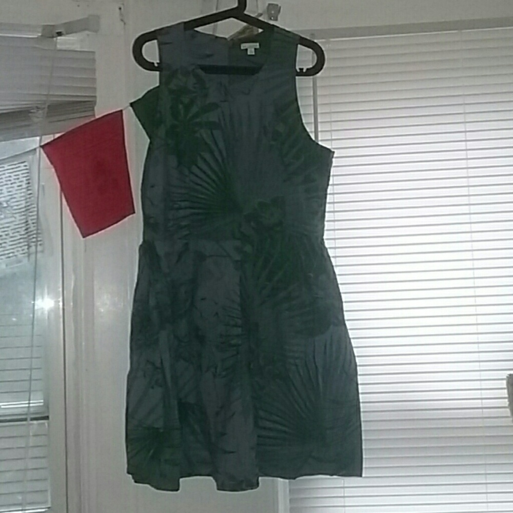 Cute fall dress- has pockets!!