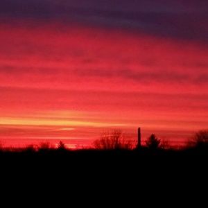 Meet your Posher, Penny