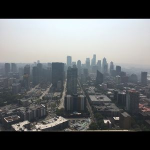 Meet your Posher, Owen