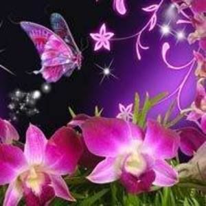 Meet your Posher, Cheryl