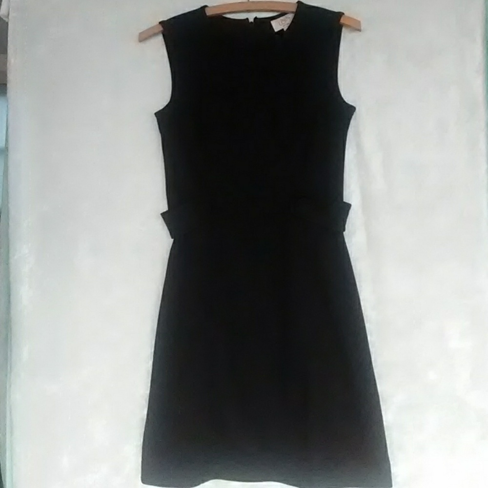 Ann Taylor Loft dress
