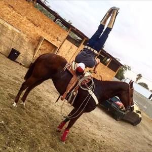 Meet your Posher, Sergio