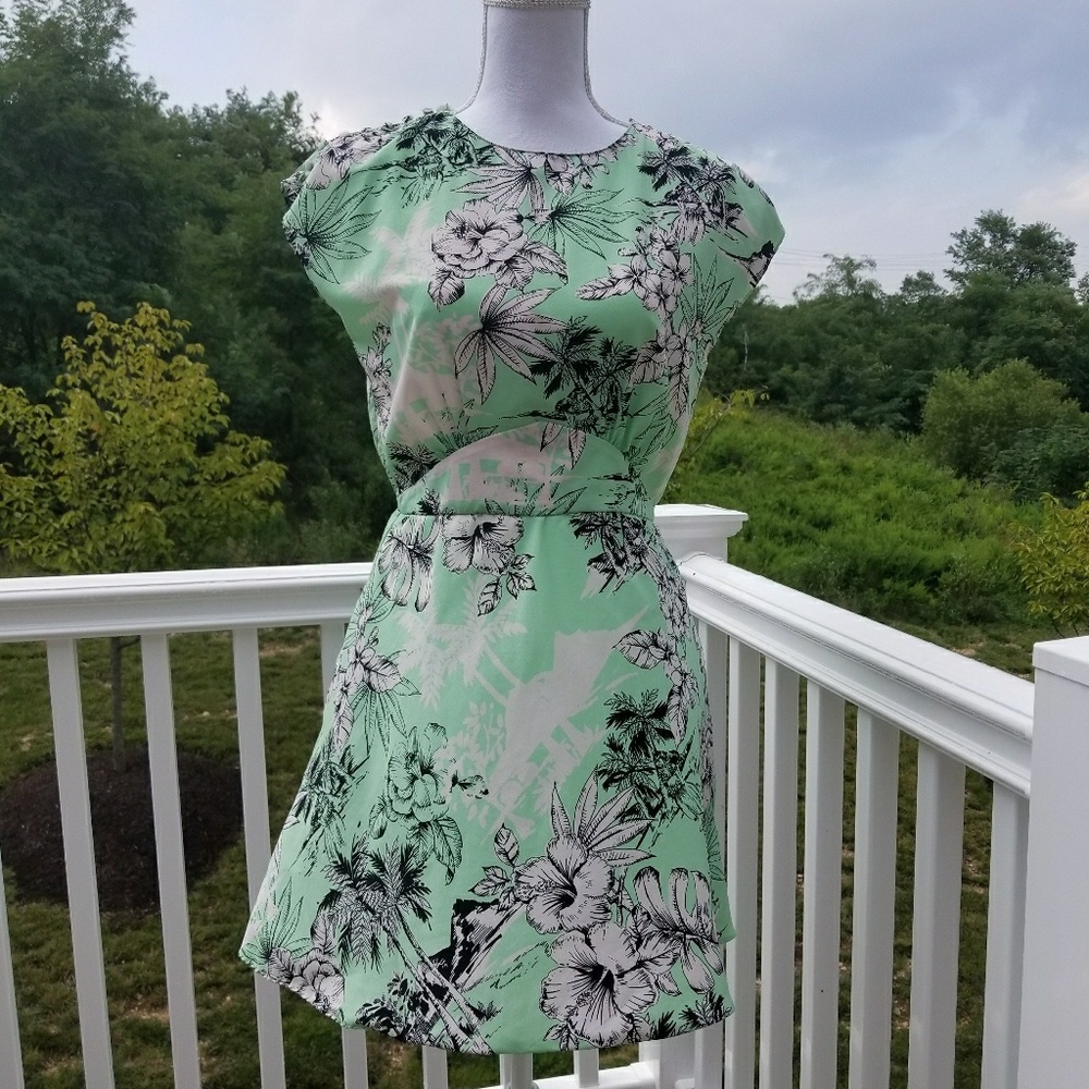 Zara floral Dress