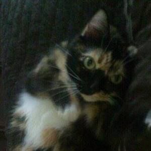 Meet your Posher, Riley