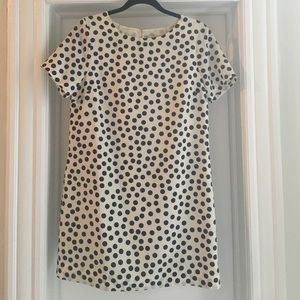 J.Crew Blue and Cream Polka Dot Shift Dress