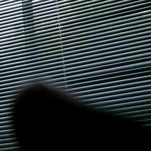 Meet your Posher, Chaquop