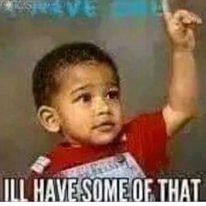 Meet your Posher, Joey