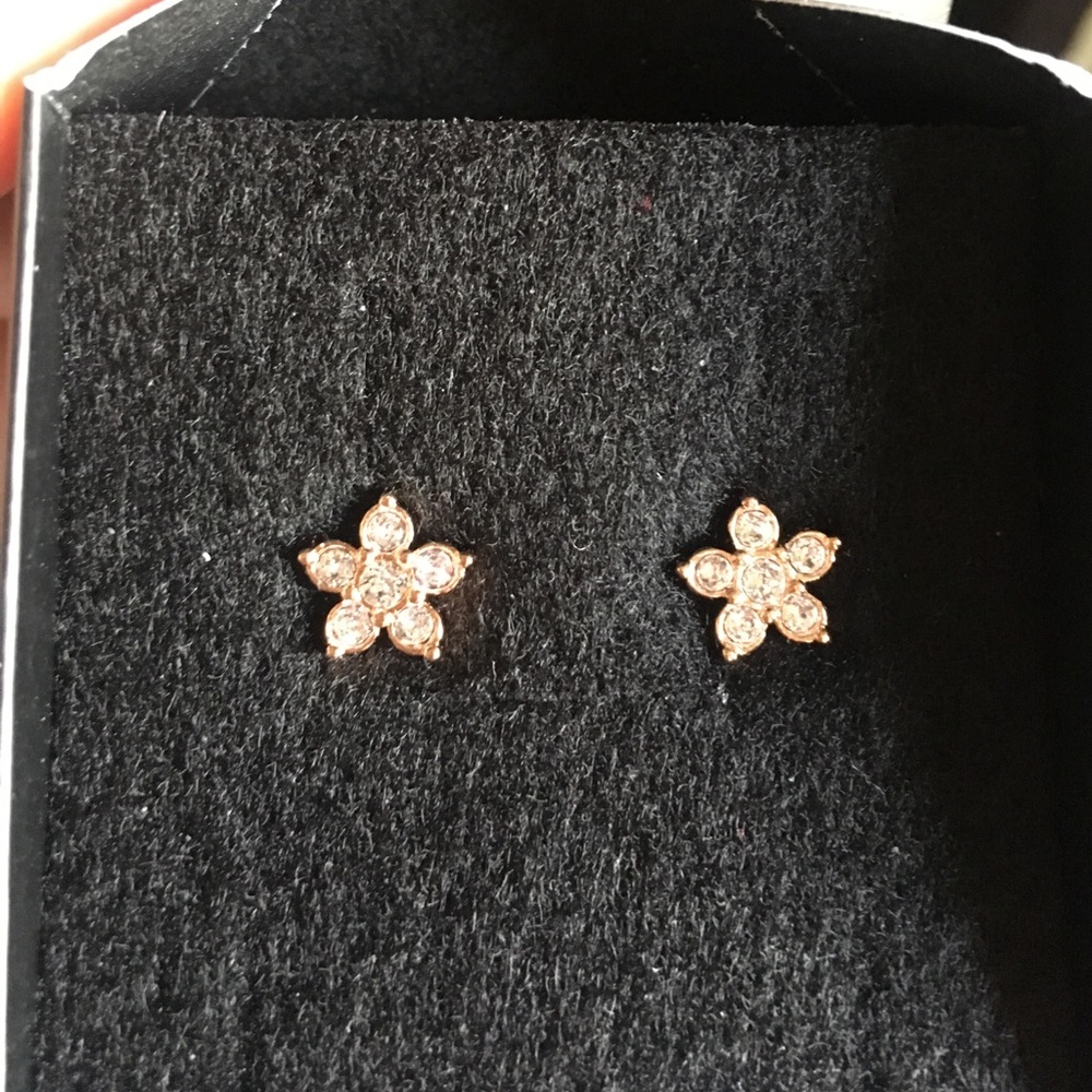 Yanbal earrings