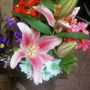 Meet your Posher, Maria