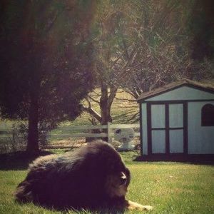 Meet your Posher, Bin