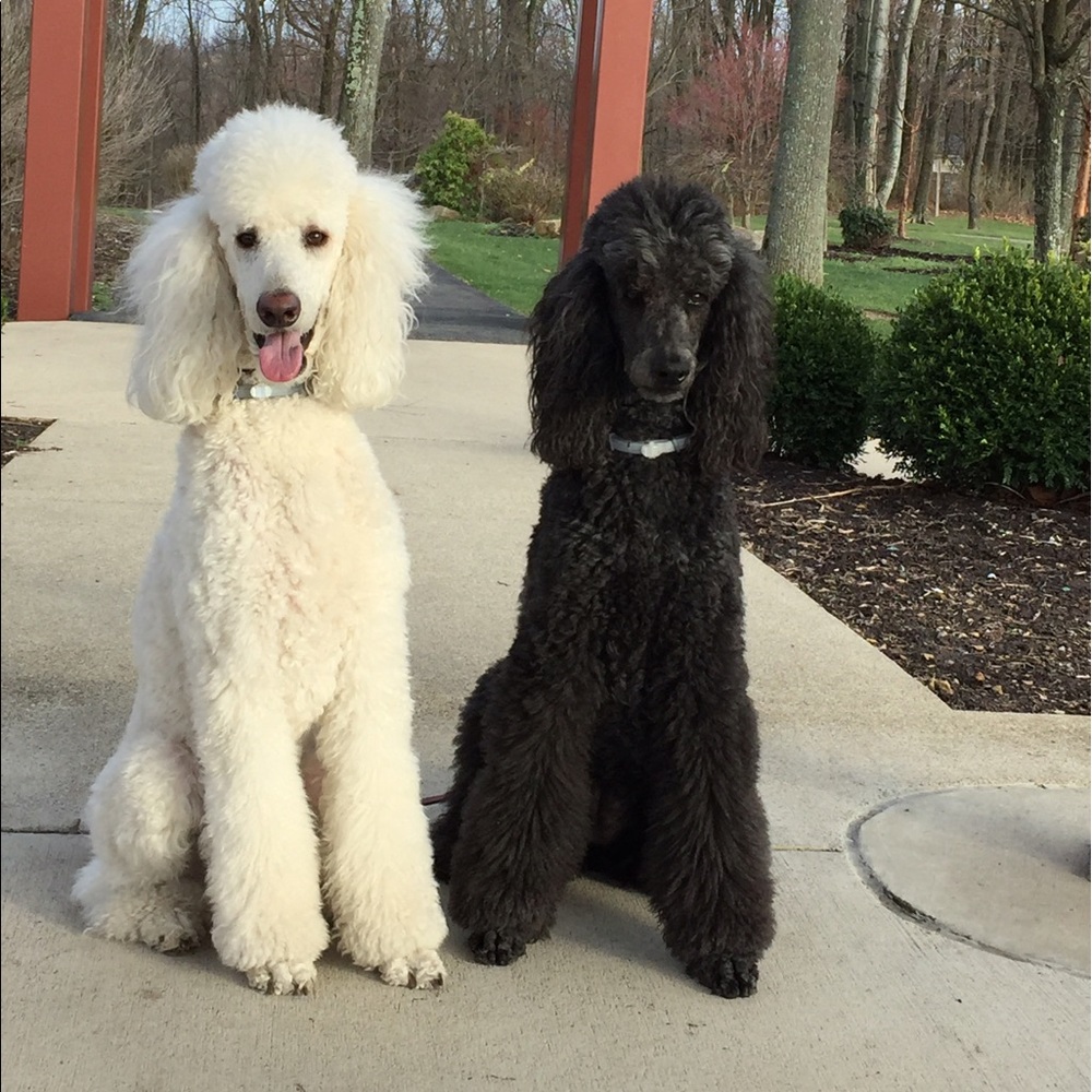 Meet your Posher, Linda