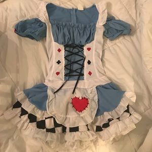 Sexy "Alice in Wonderland" Costume