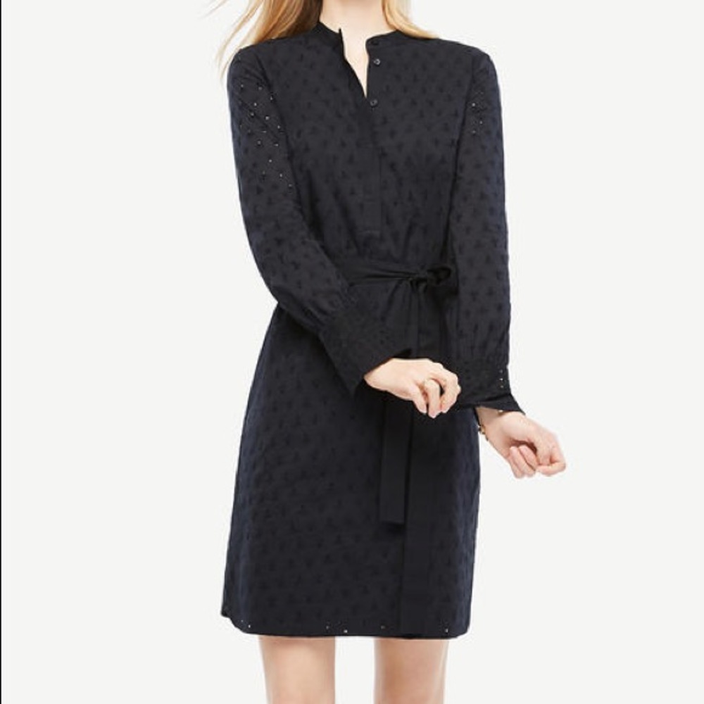 Ann Taylor SP dress