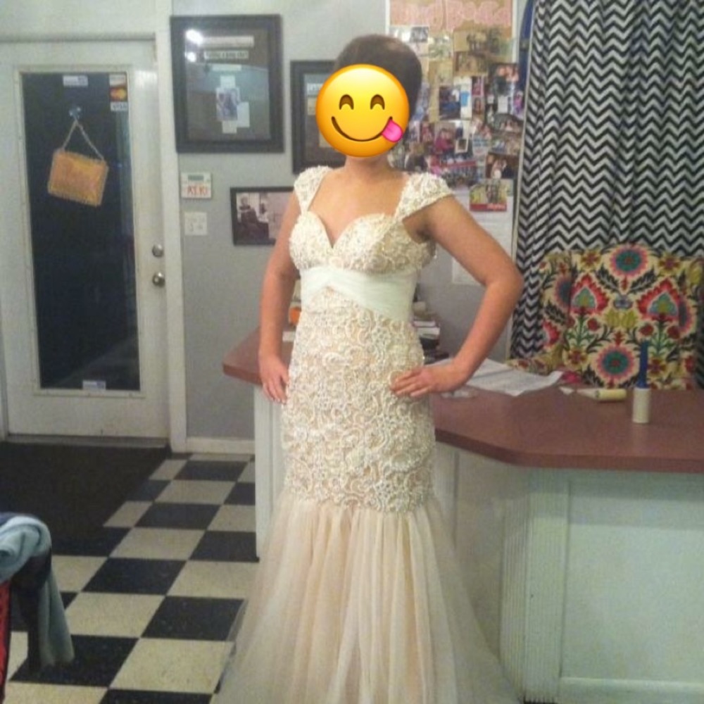 Pageant/ prom/ wedding dress