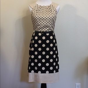 The Limited Polka Dot Dress Size 0
