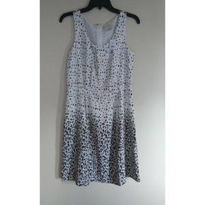 NWT Ann Taylor Business Dress