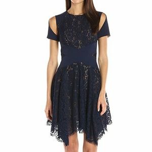 BcbgMaxAzria Trish Knit and Lace Dress