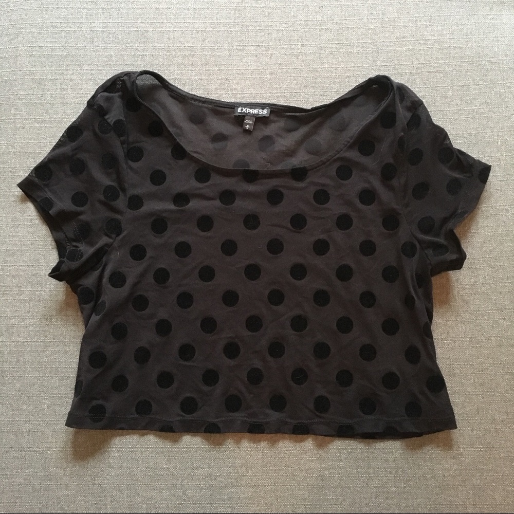 Express Black Polkadot Crop Top