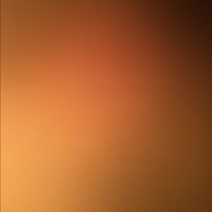 Meet your Posher, Rausheed