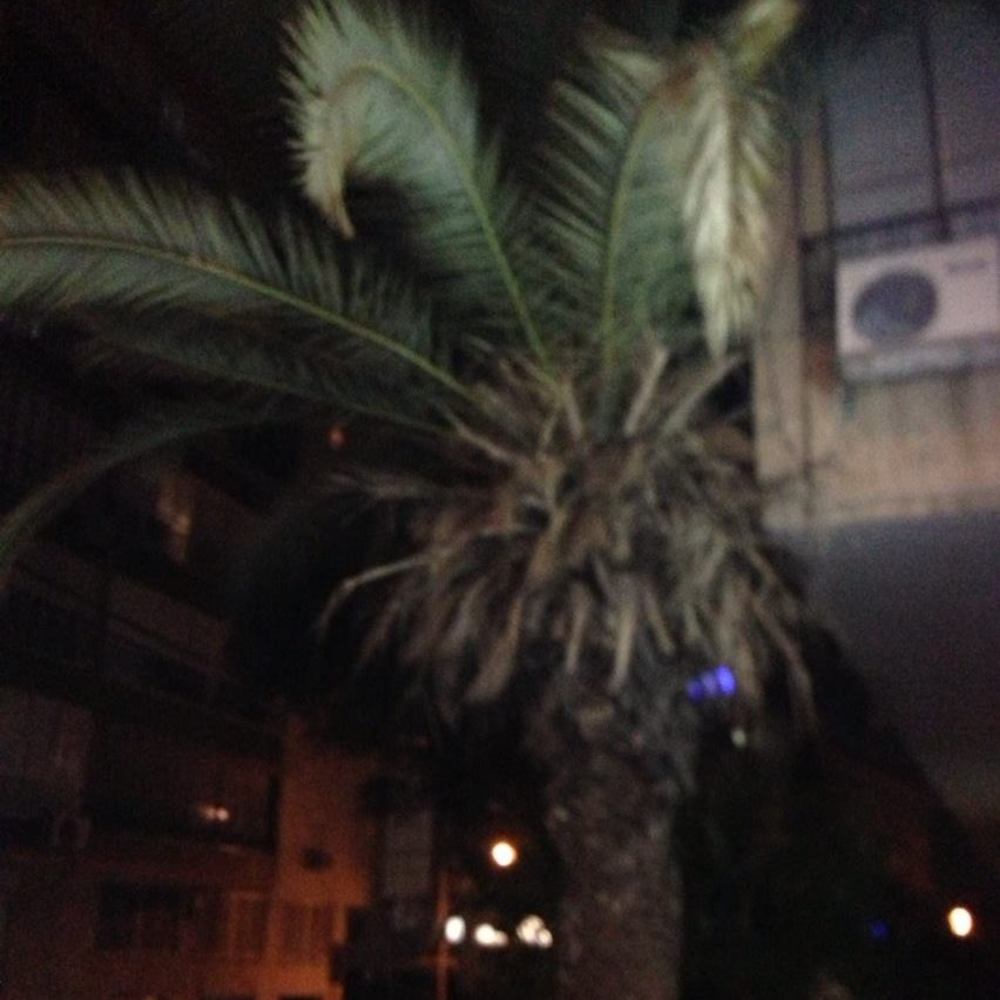 Meet your Posher, Daphna