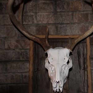 Meet your Posher, Jesus