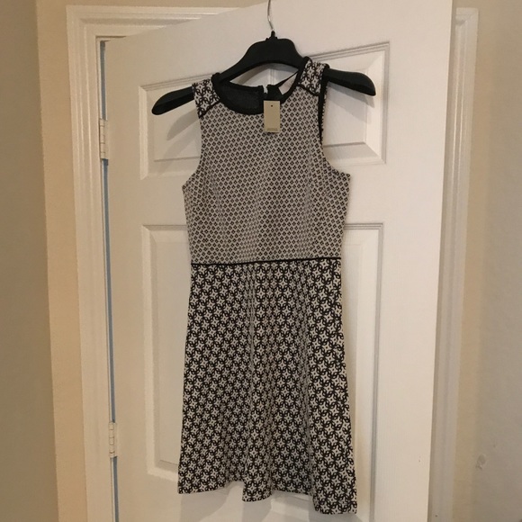 Loft Black & White Dress - Picture 1 of 4
