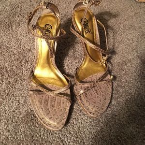 Carlos Santana Shoes