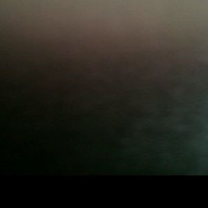 Meet your Posher, Mia