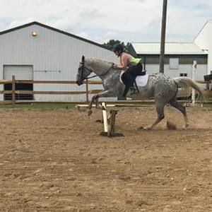 Meet your Posher, Victoria