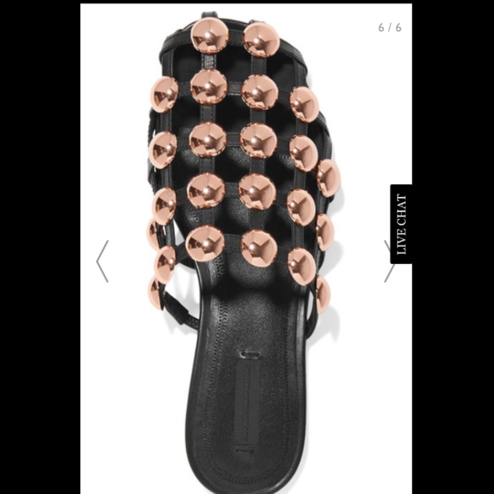 Alexander Wang Studded Mules