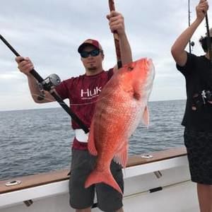 Meet your Posher, Cole