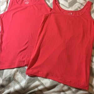 2️⃣ for 1️⃣ XL watermelon tanks by Sonoma/Apt 9