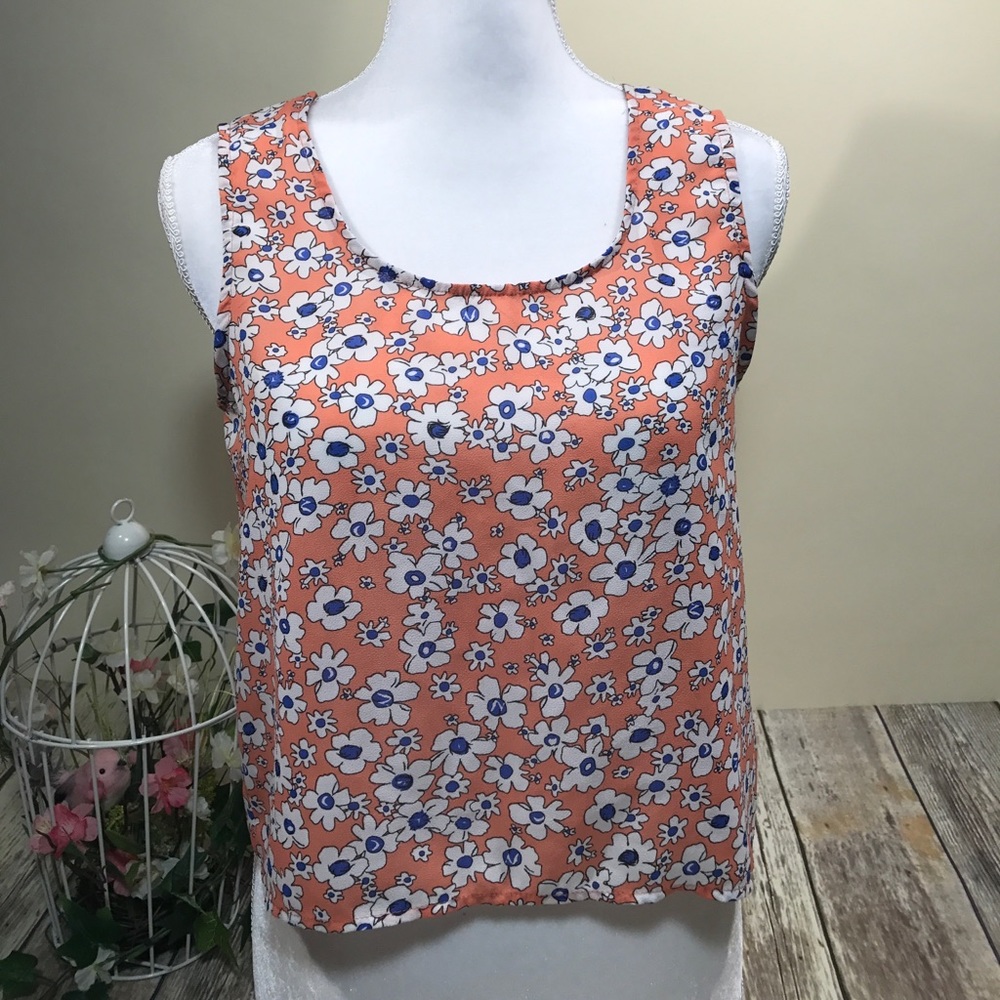 Antropologie E&M top