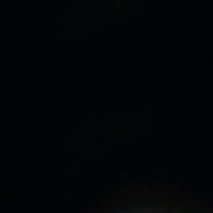 Meet your Posher, Dayanara