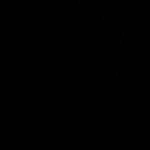 Meet your Posher, Uhuru