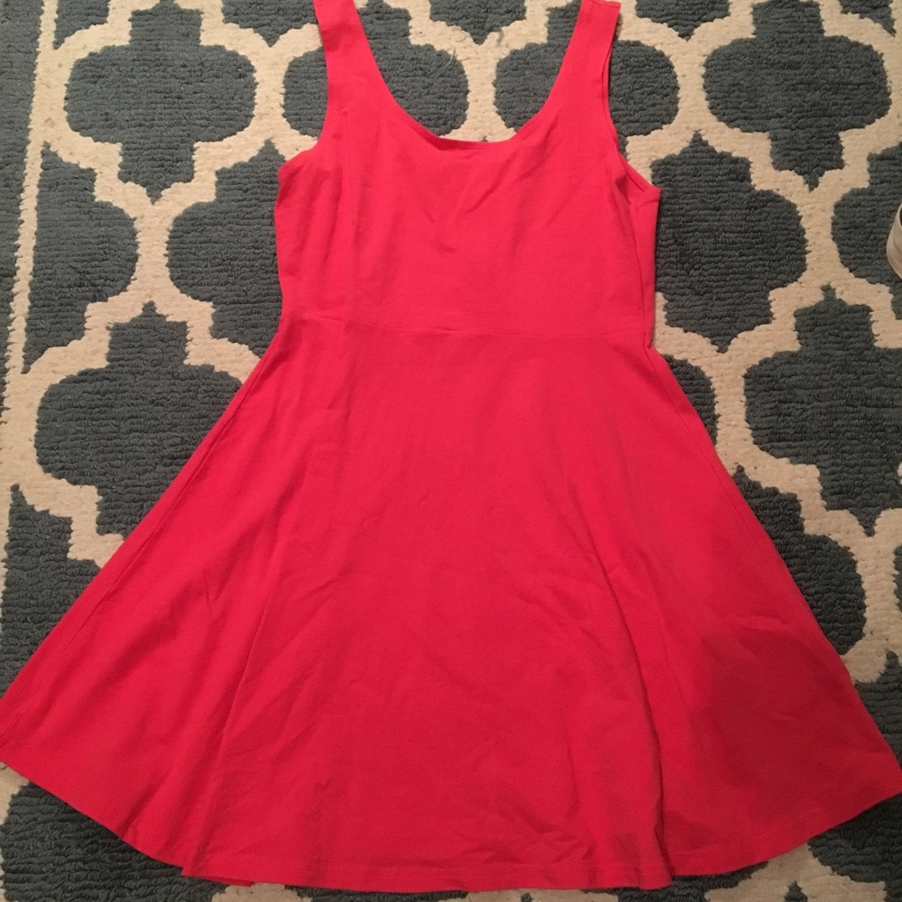 Pink Express Skater Dress