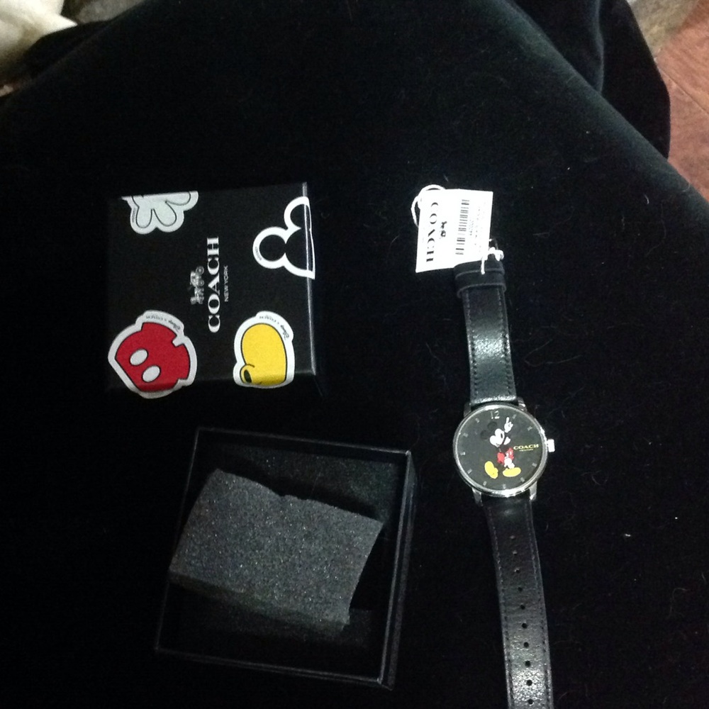 Coach Disney watch