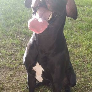 Meet your Posher, Denise