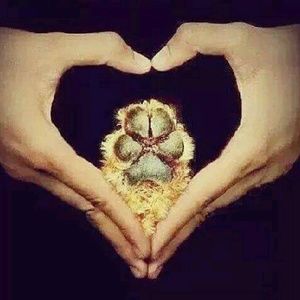 Meet your Posher, Marcia