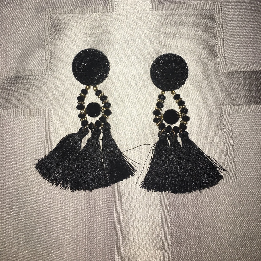 Tassel Earrings- new without tags!
