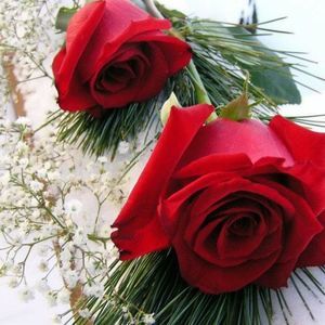 Meet your Posher, Zainab